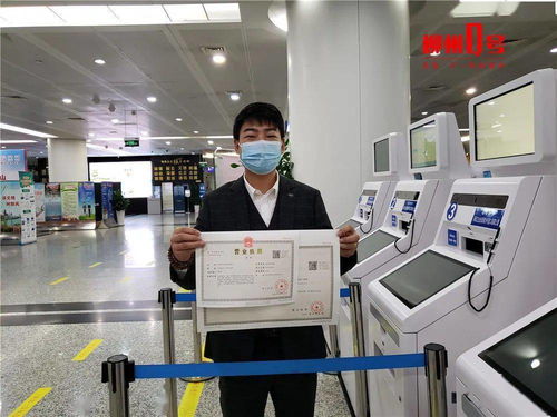 柳州100項便民服務周末照常辦理，教育信息咨詢服務位列其中